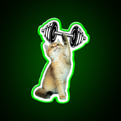 Gym Cat Gym Fitness Led Neon Sign Rgb Color