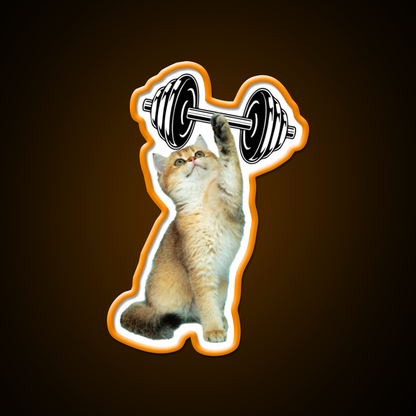 Gym Cat Gym Fitness Led Neon Sign Rgb Color