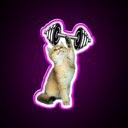 Gym Cat Gym Fitness Led Neon Sign Rgb Color