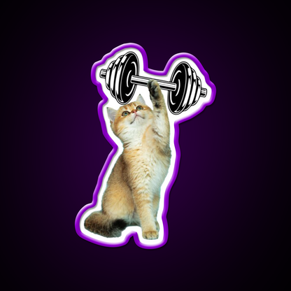 Gym Cat Gym Fitness Led Neon Sign Rgb Color