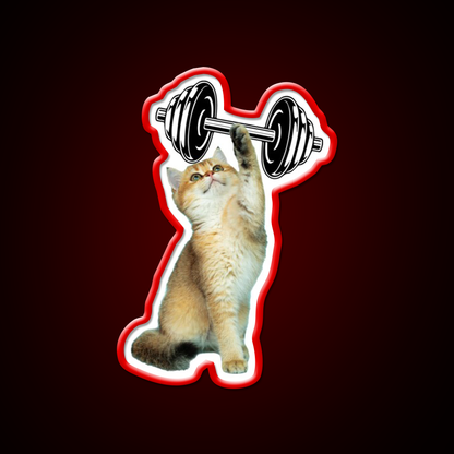 Gym Cat Gym Fitness Led Neon Sign Rgb Color