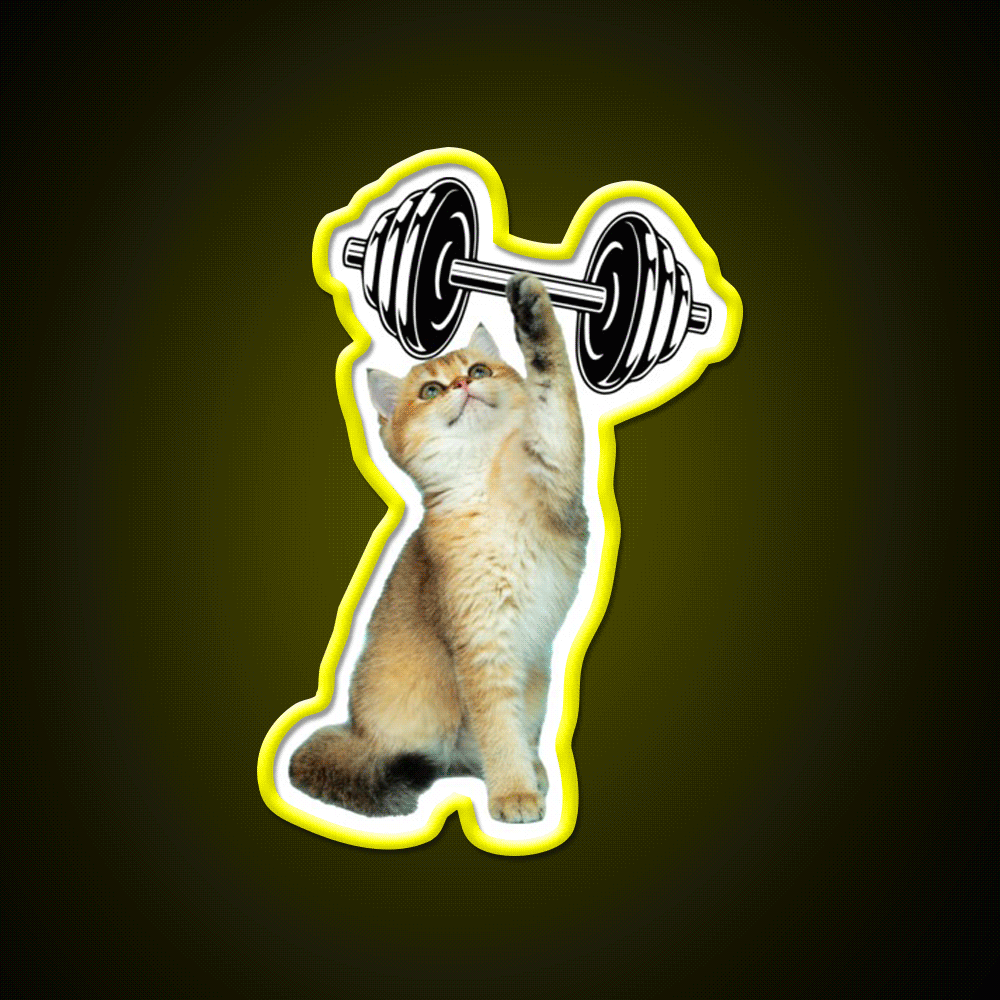 Gym Cat Gym Fitness Led Neon Sign Rgb Color