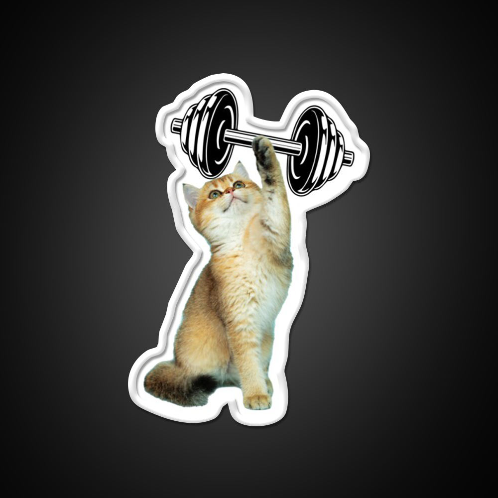 Gym Cat Gym Fitness Led Neon Sign Rgb Color