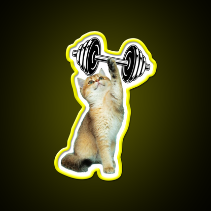 Gym Cat Gym Fitness Led Neon Sign Rgb Color