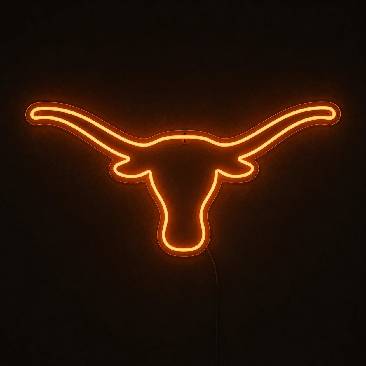 Hand Held Texas Longhorn Vintage LED Neon Sign - Shineneon