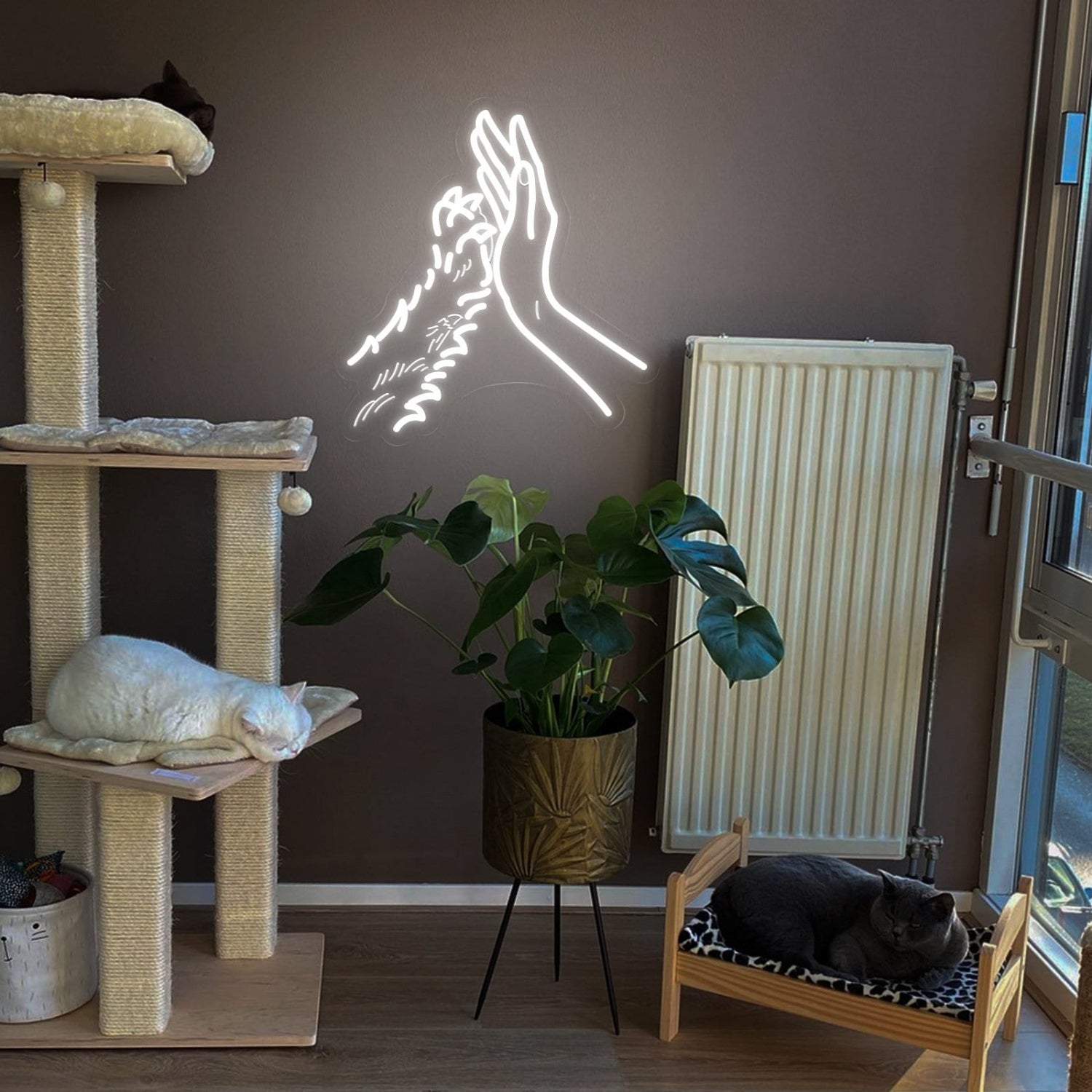 Hand Paw Neon Sign For Pets House | Shineneon