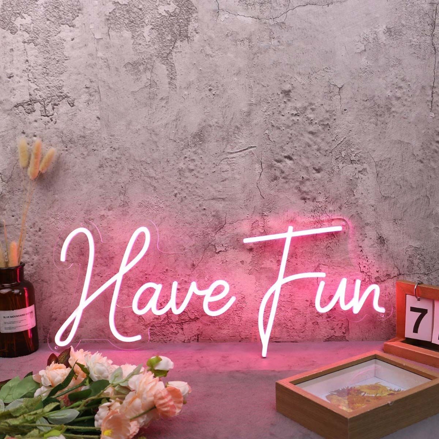 Have Fun Red Custom Led Neon Sign - Shineneon