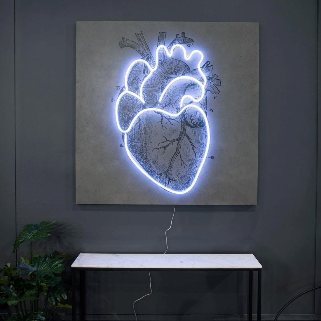 Heart Anatomy Led Sign Business Neon Sign - Shineneon