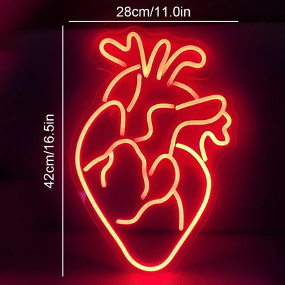 Heart Anatomy Red Led Neon Sign For Indoor Decor Bars Medical Spaces - Shineneon