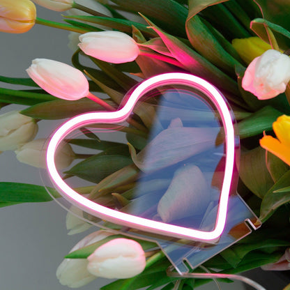 Heart Led Mini Neon Sign | Shineneon