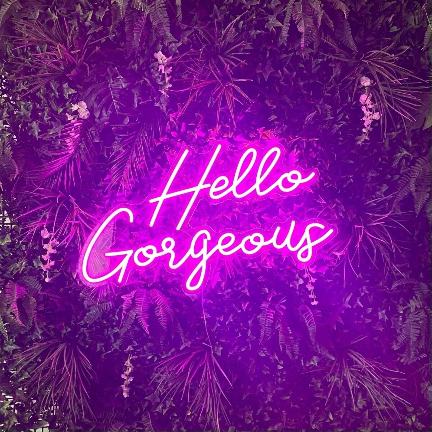 Hello Gorgeous Led Neon Sign For Positive And Fun For Wall Decor - Shineneon