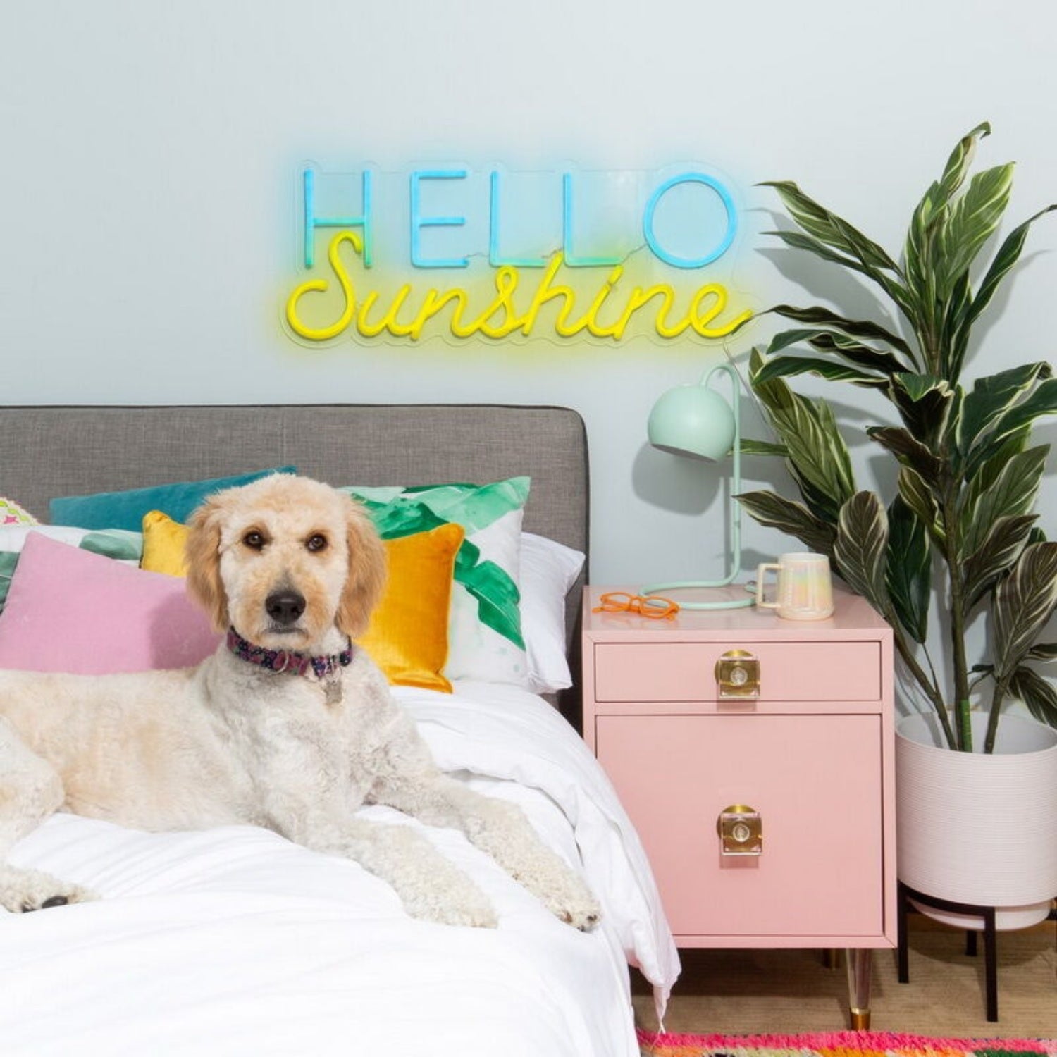 Hello Sunshine Led Neon Sign For Positive And Happy Decor - Shineneon