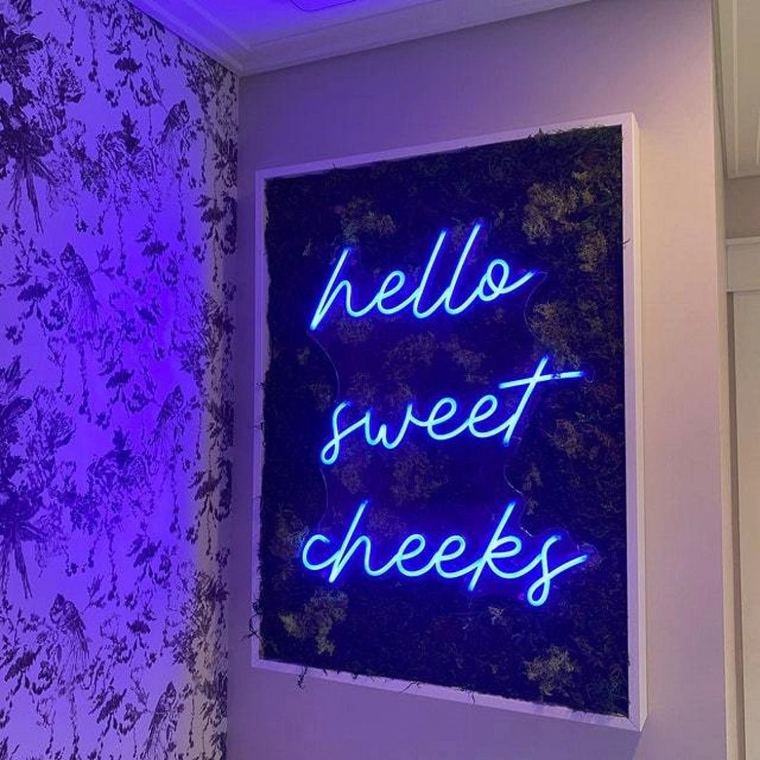 Hello Sweet Cheeks Led Sign Business Neon Sign - Shineneon