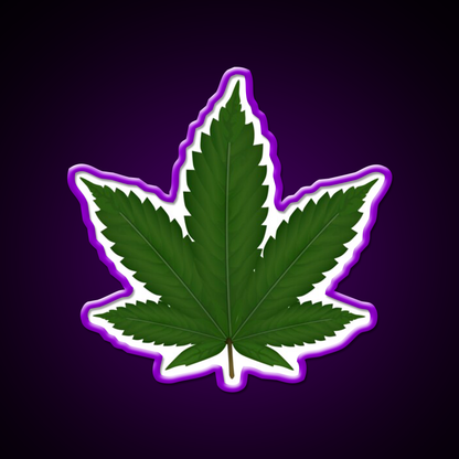 Hempy Hemp Inspired Green Leaf Led Neon Sign Rgb Color - LED neon sign view 9