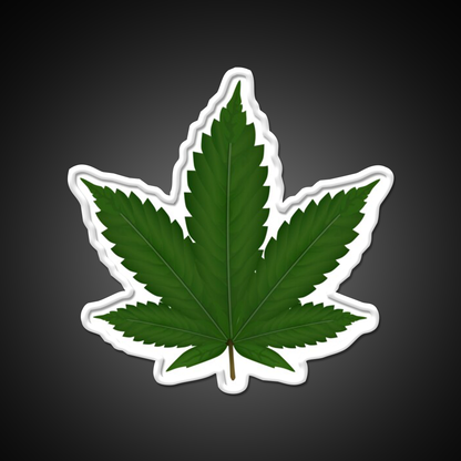 Hempy Hemp Inspired Green Leaf Led Neon Sign Rgb Color - LED neon sign view 11