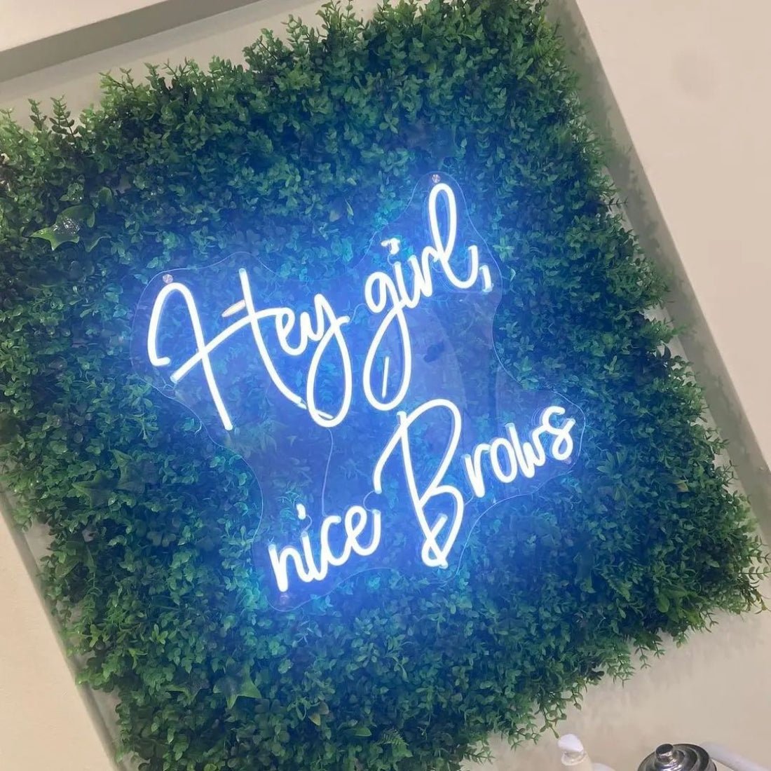 Hey Girl Nice Brows Led Sign Business Neon Sign - Shineneon