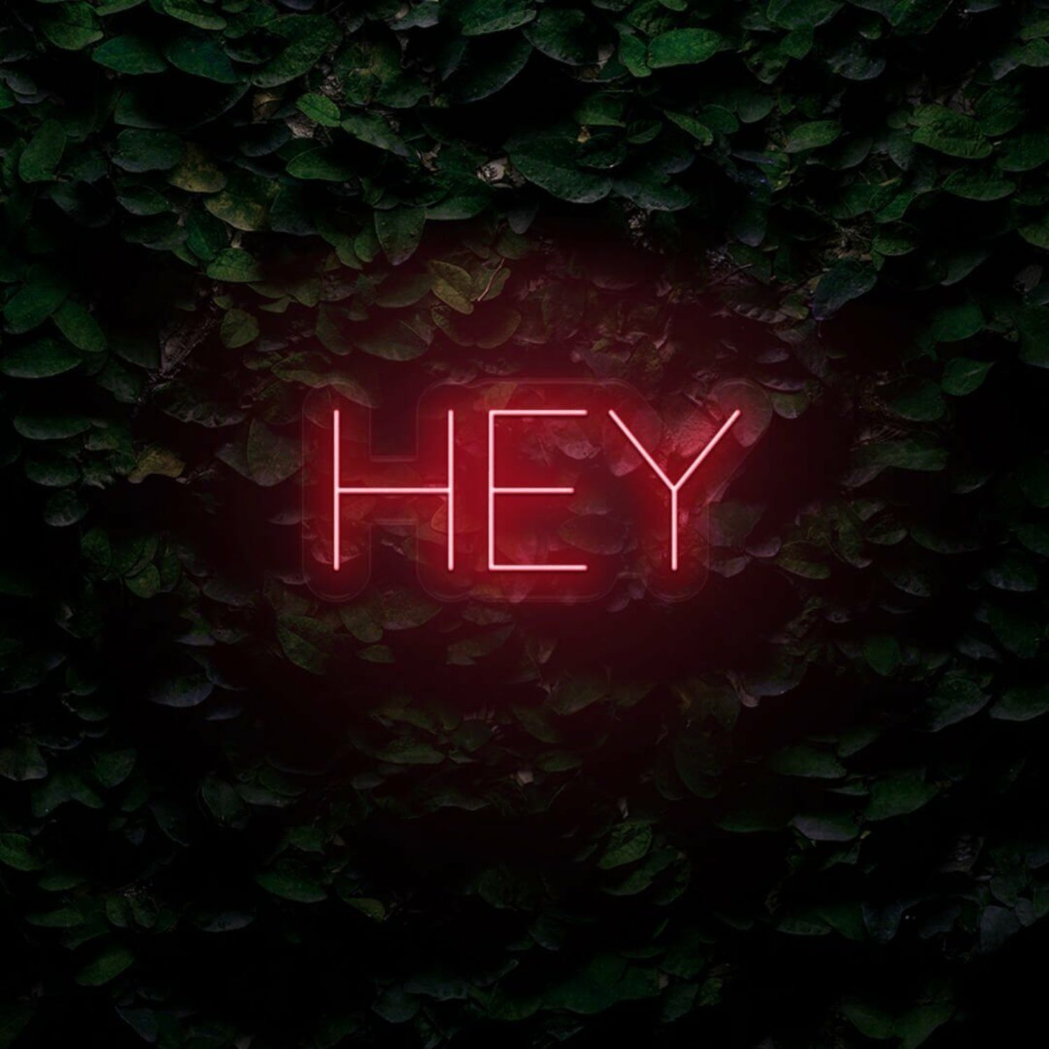 Hey Led Neon Sign - Shineneon