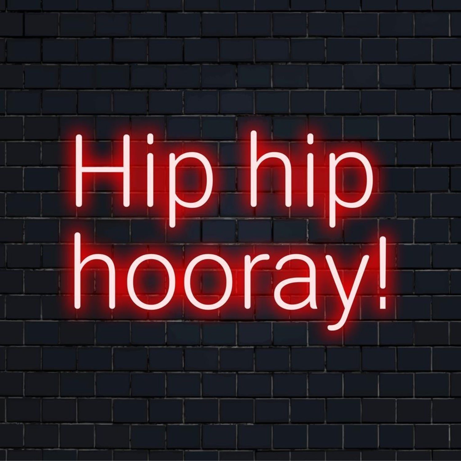 Hip Hip Hooray Red White Led Neon Sign For Bar Restaurant Party Decor - Shineneon
