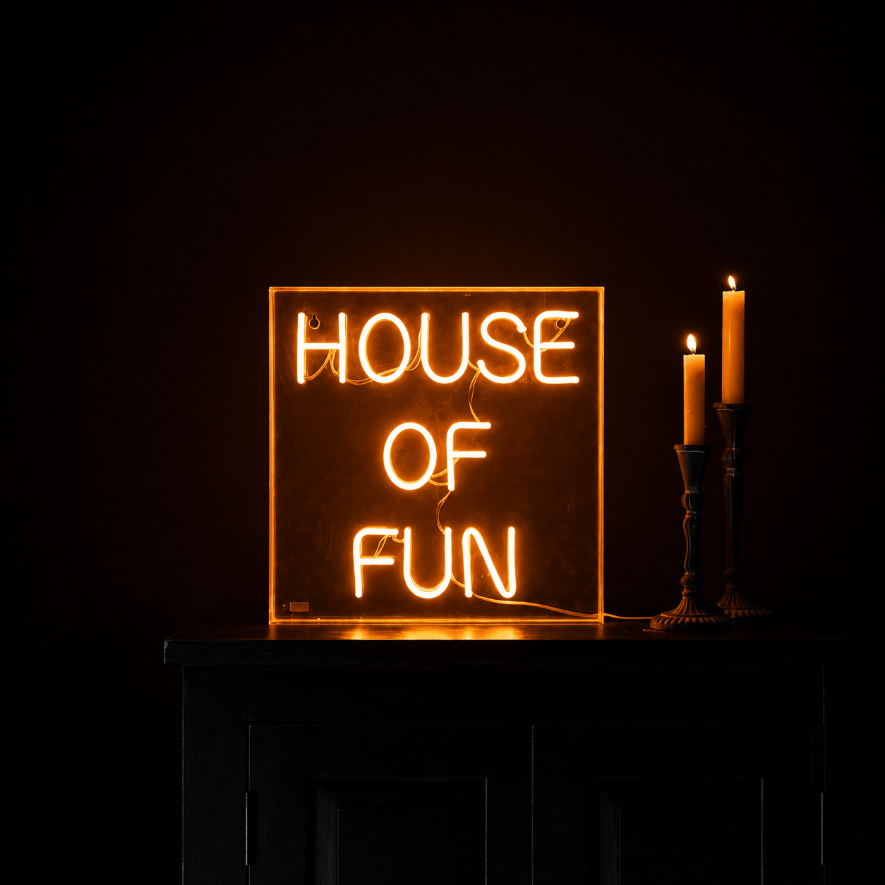 House Of Fun LED Neon Sign - Shineneon