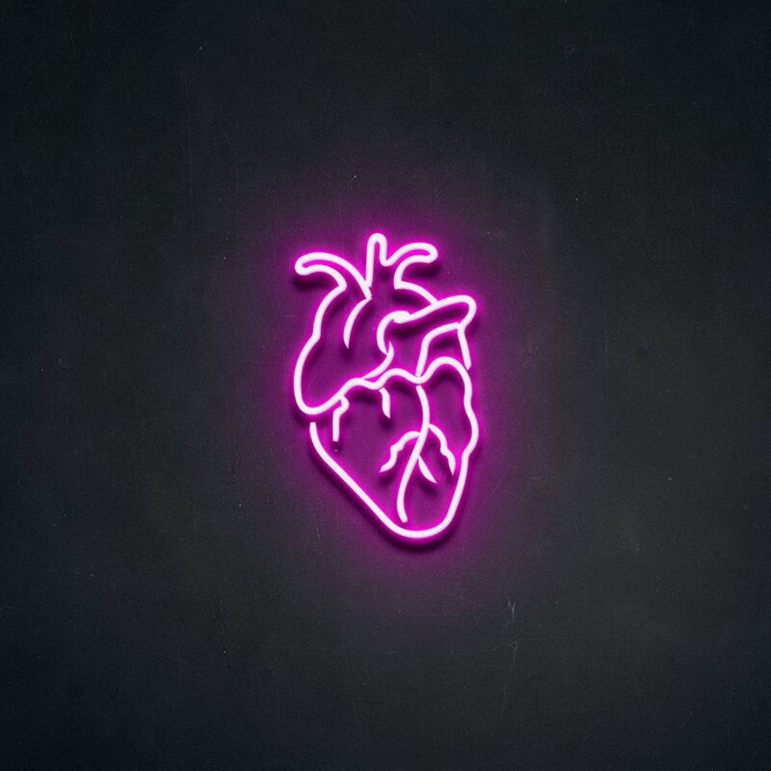 Human Heart Neon Sign For Unique Decor | Shineneon
