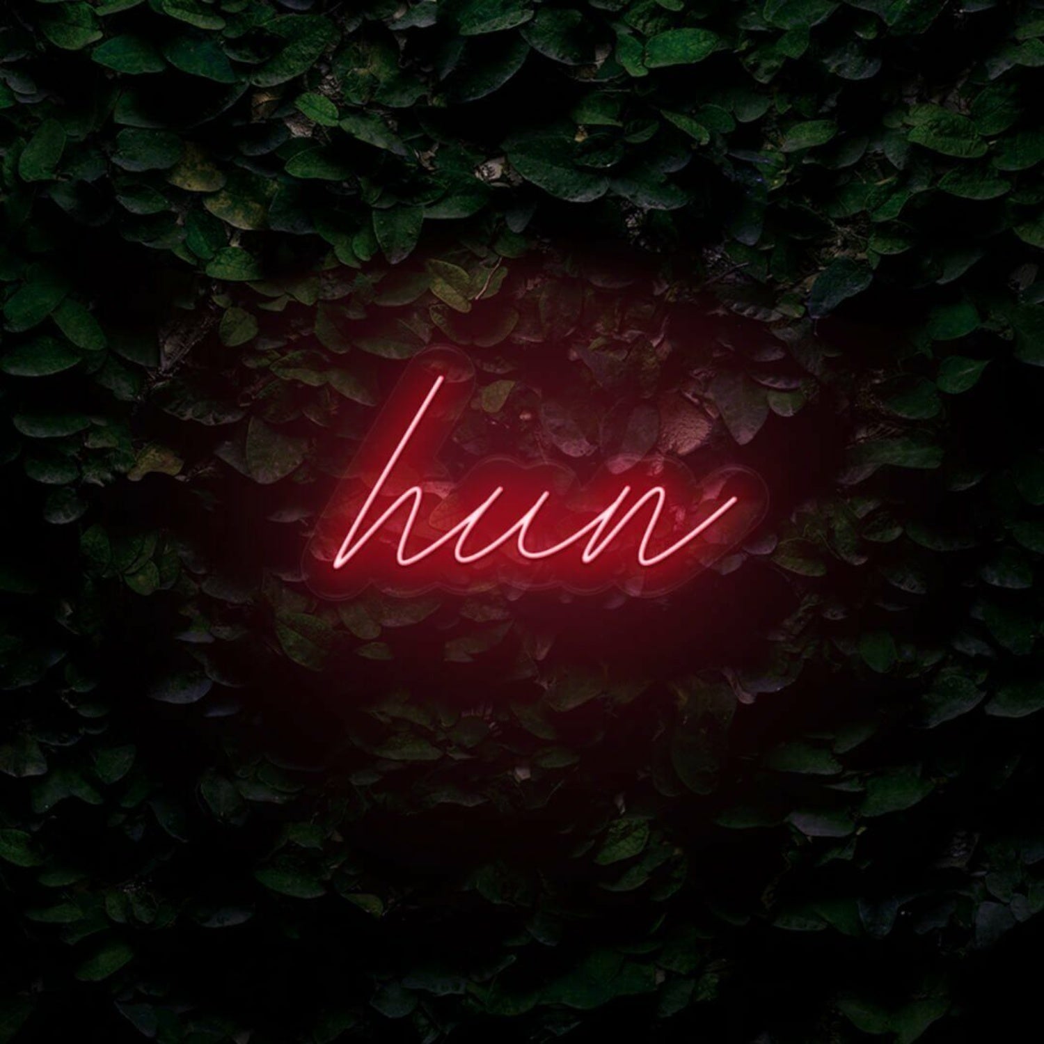 Hun Led Neon Sign - Shineneon