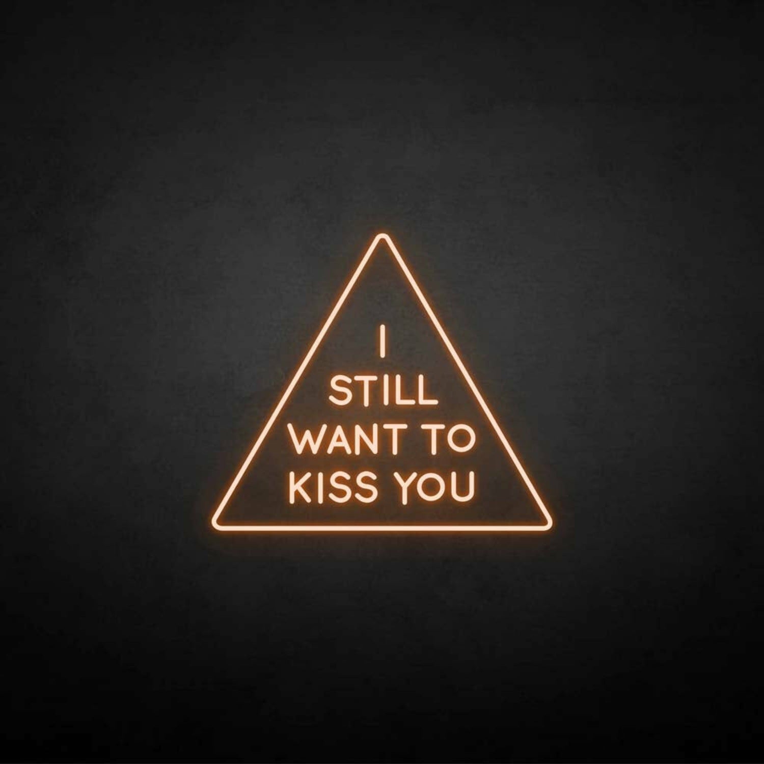 I Still Want To Kiss You Neon Sign | Shineneon