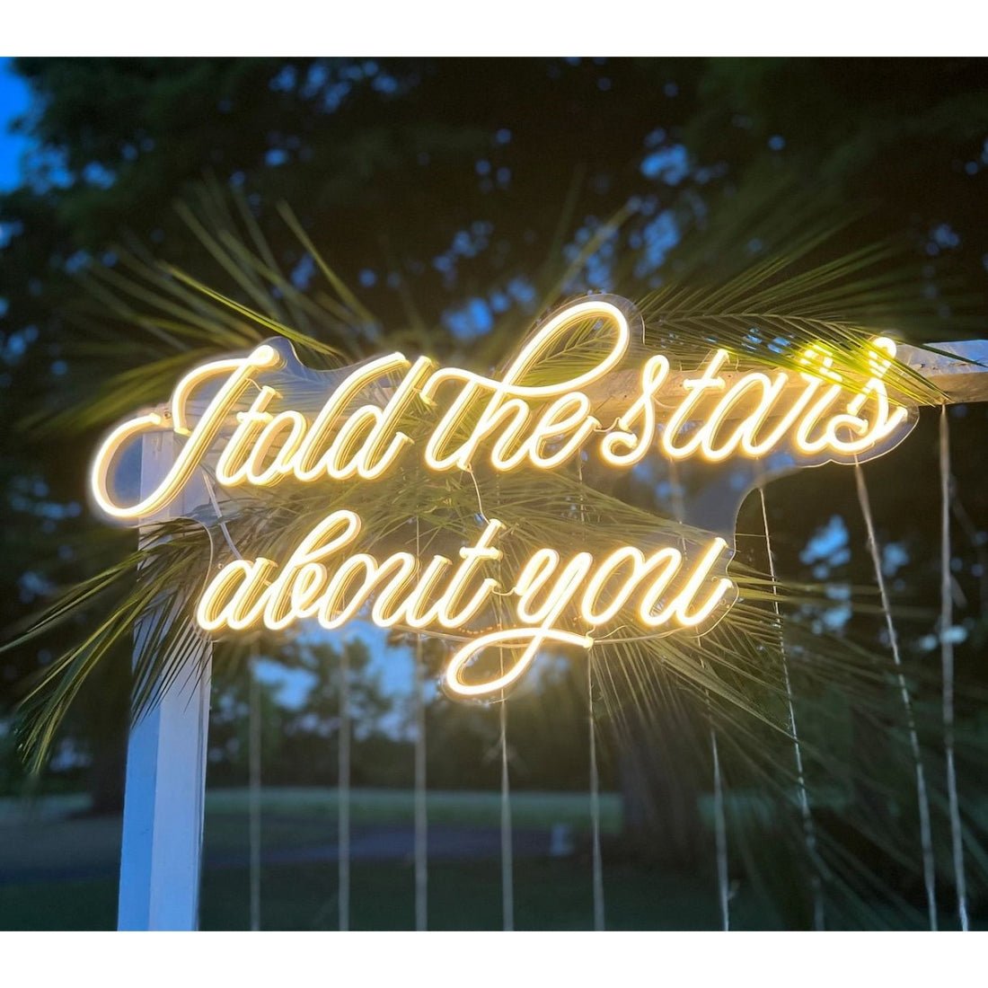 I Told The Stars About You Led Sign Business Neon Sign - Shineneon