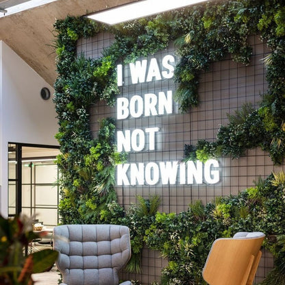I Was Born Not Knowing 3D Frontlit And Backlit Channel Letter Led Light Sign - Shineneon