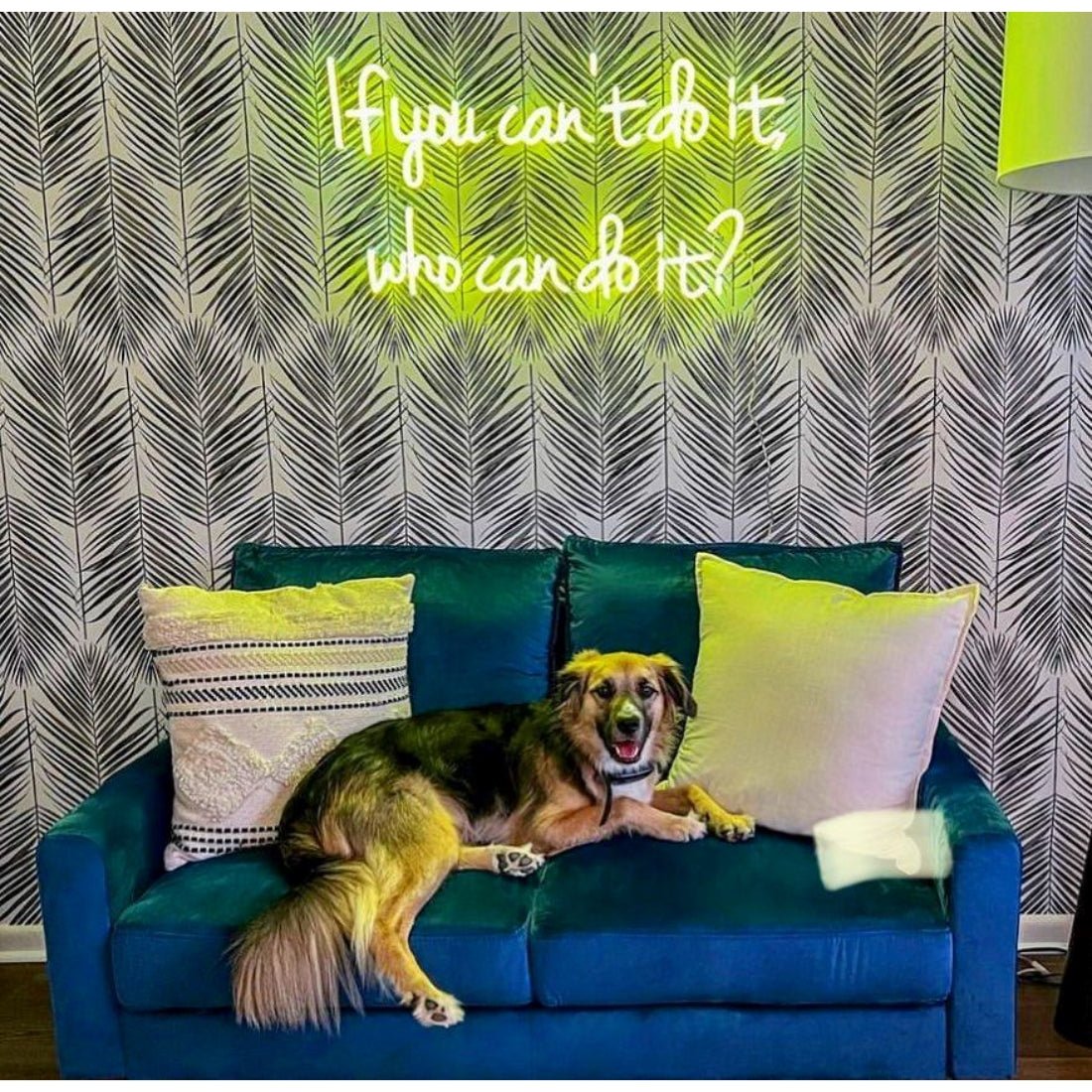 If You Cant Do It Who Can Do It Led Sign Business Neon Sign - Shineneon