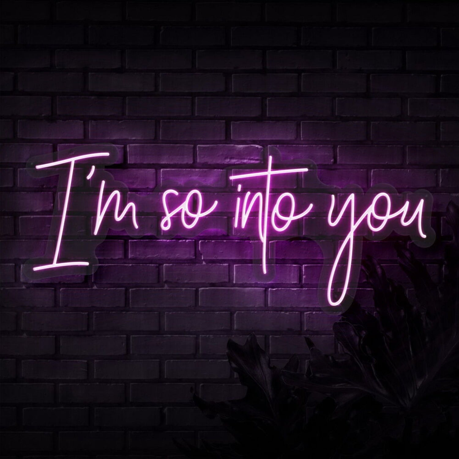 Im So Into You Neon Sign | Shineneon