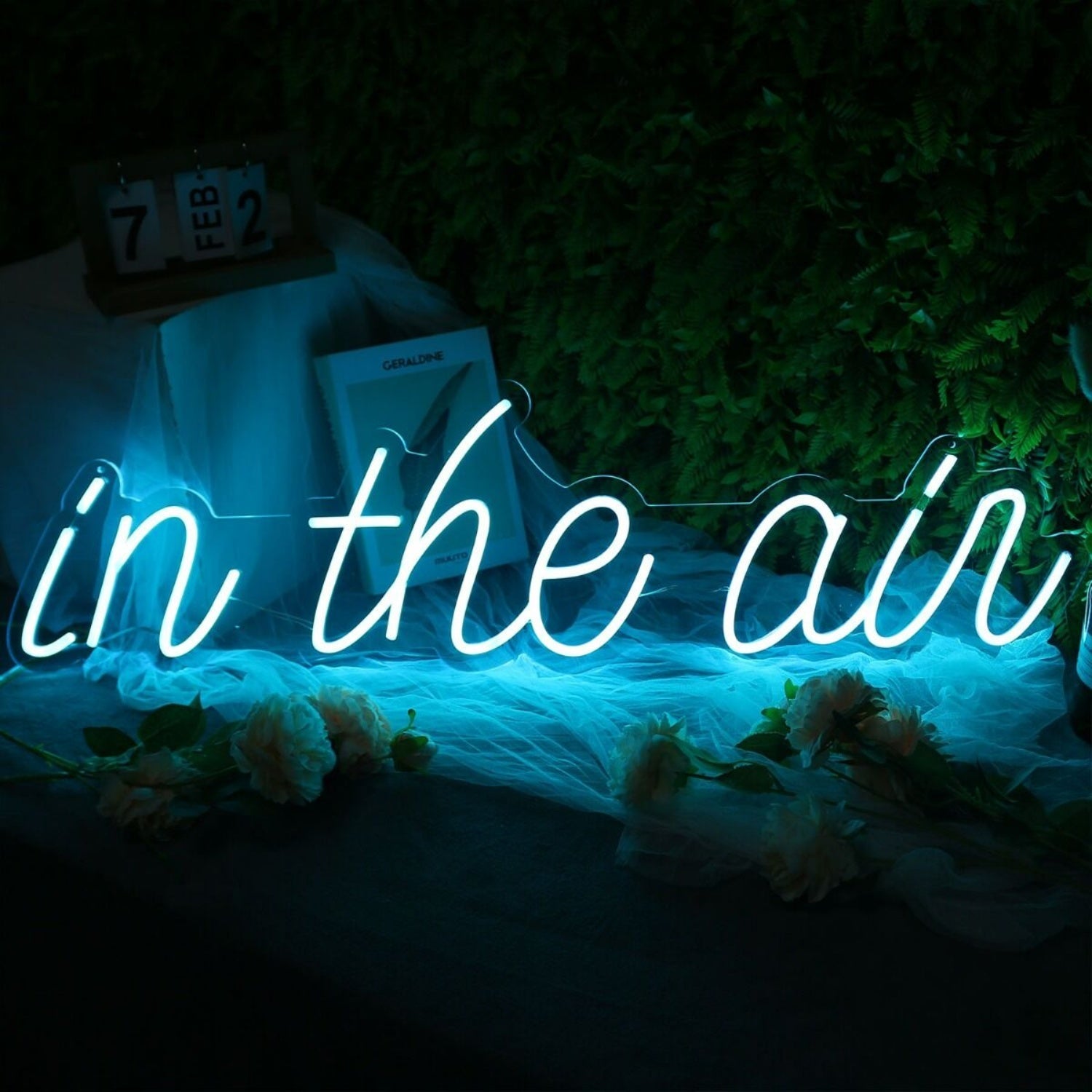 In The Air Blue Led Neon Sign - Shineneon