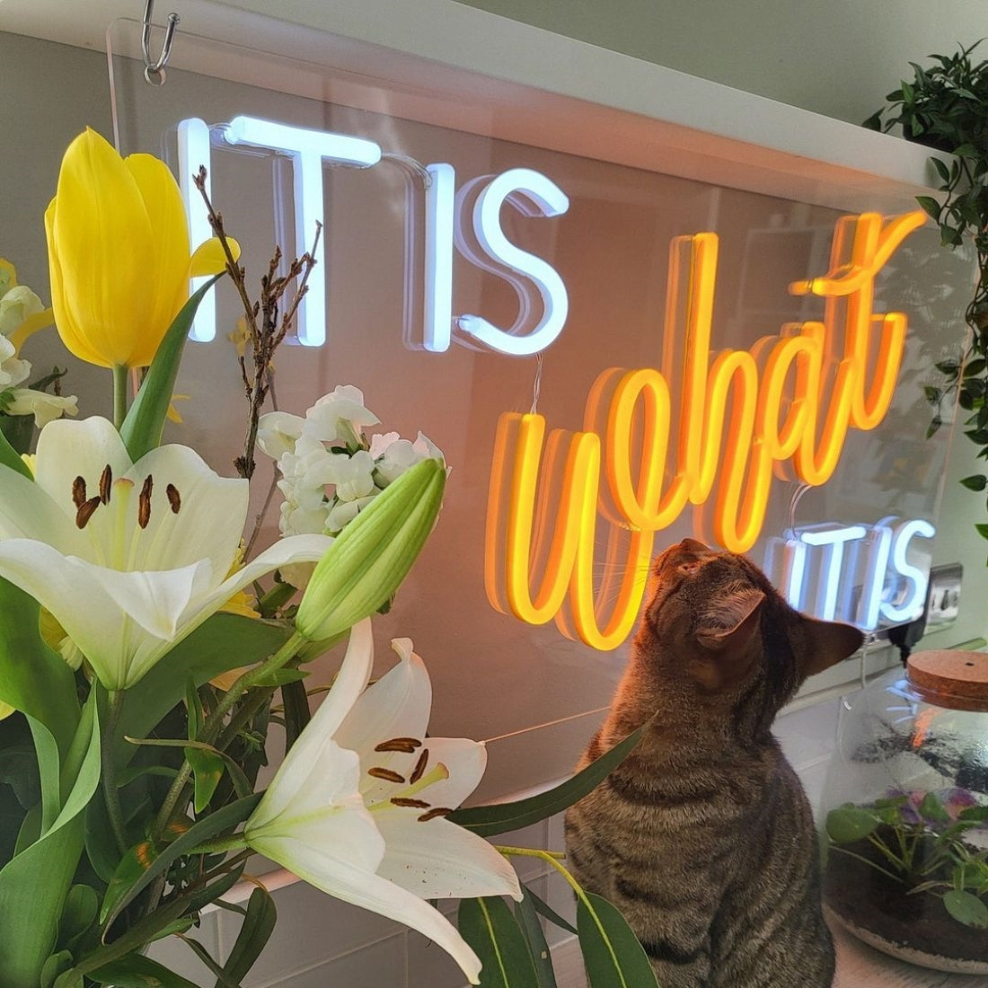 It Is What It Is Led Sign Business Neon Sign Wall Decor