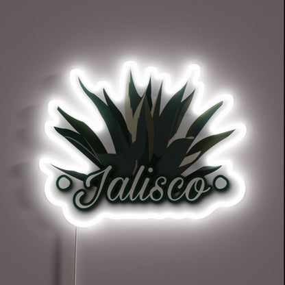 Jalisco 2 0 Rgb Led Neon Sign - Custom LED neon sign front view