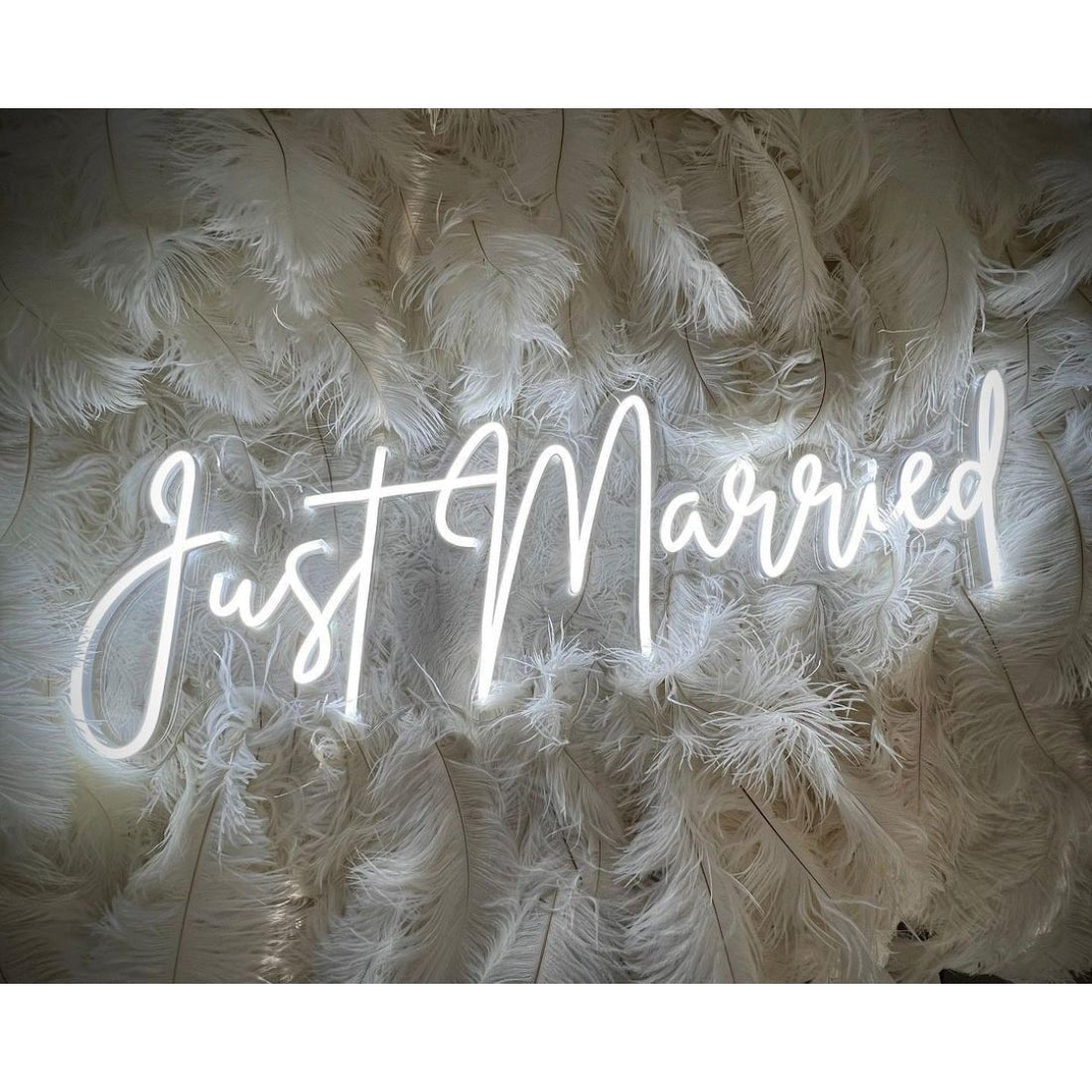 Just Married Neon Signs Neon Lights Led Neon Signs - Shineneon
