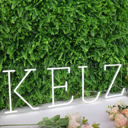 Kelz White Led Neon Sign - Shineneon
