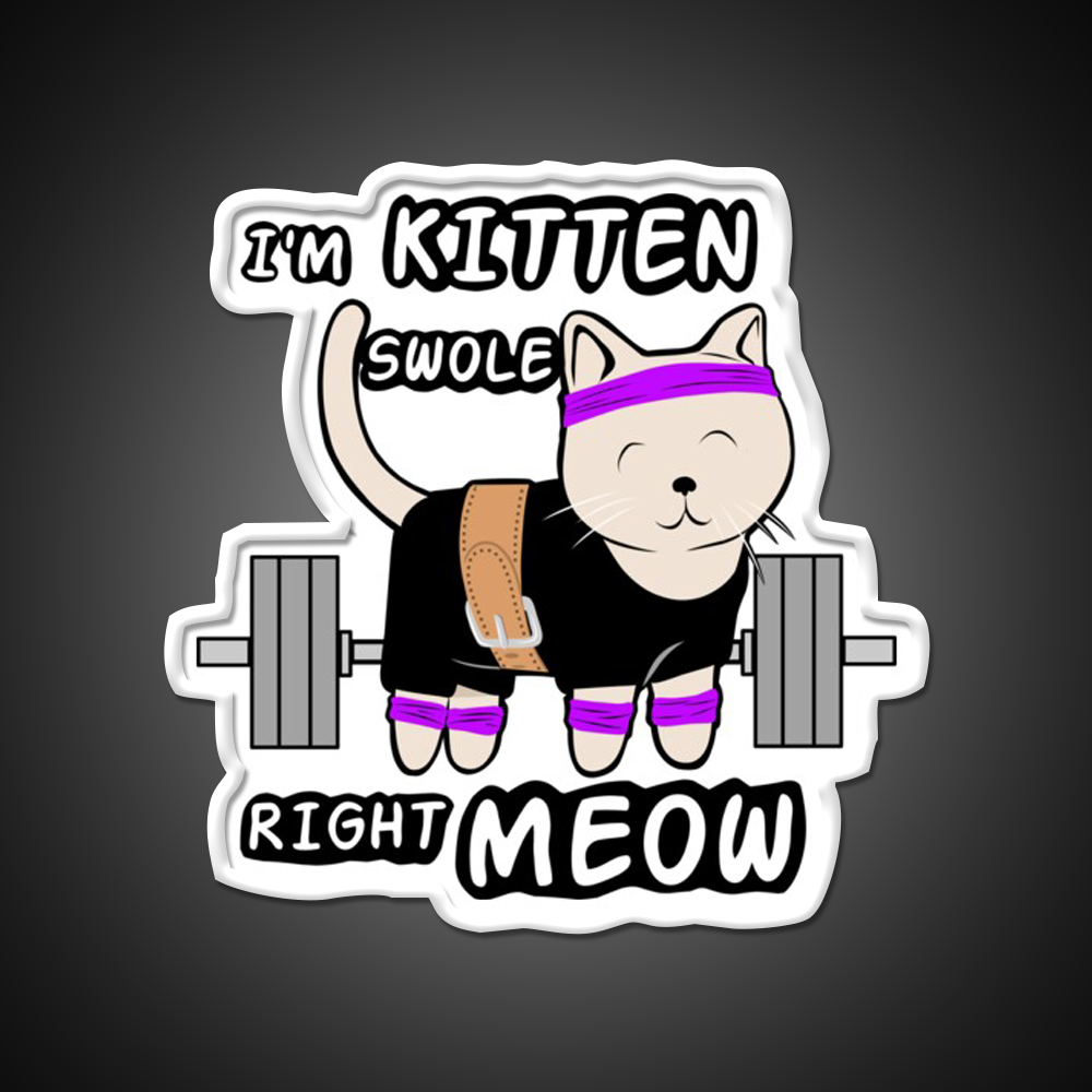 Kitten Swole Gym Fitness Led Neon Sign Rgb Color