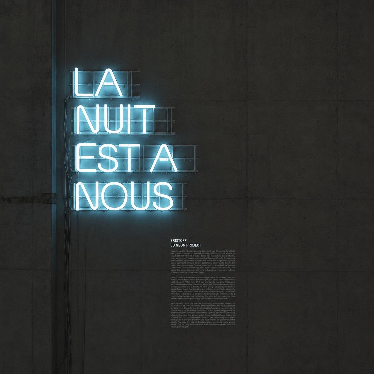 La Nuit Esta Nous LED Neon Sign - Shineneon