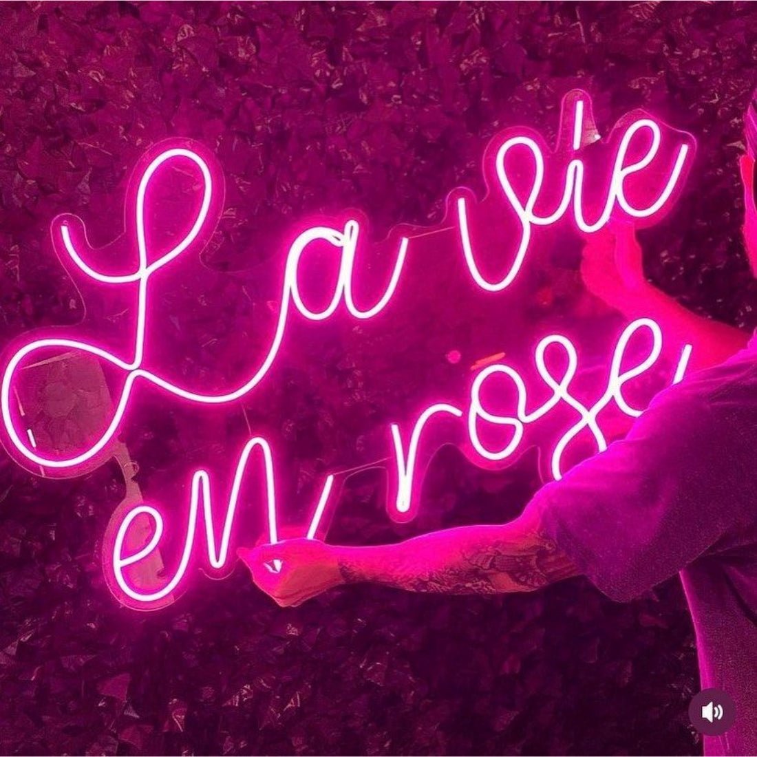 La Vie En Rose Led Sign Business Neon Sign - Shineneon