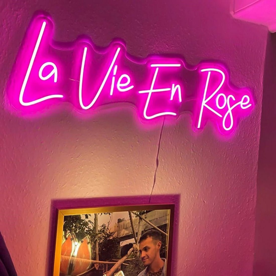 La Vie En Rose Led Sign Business Neon Signs - Shineneon