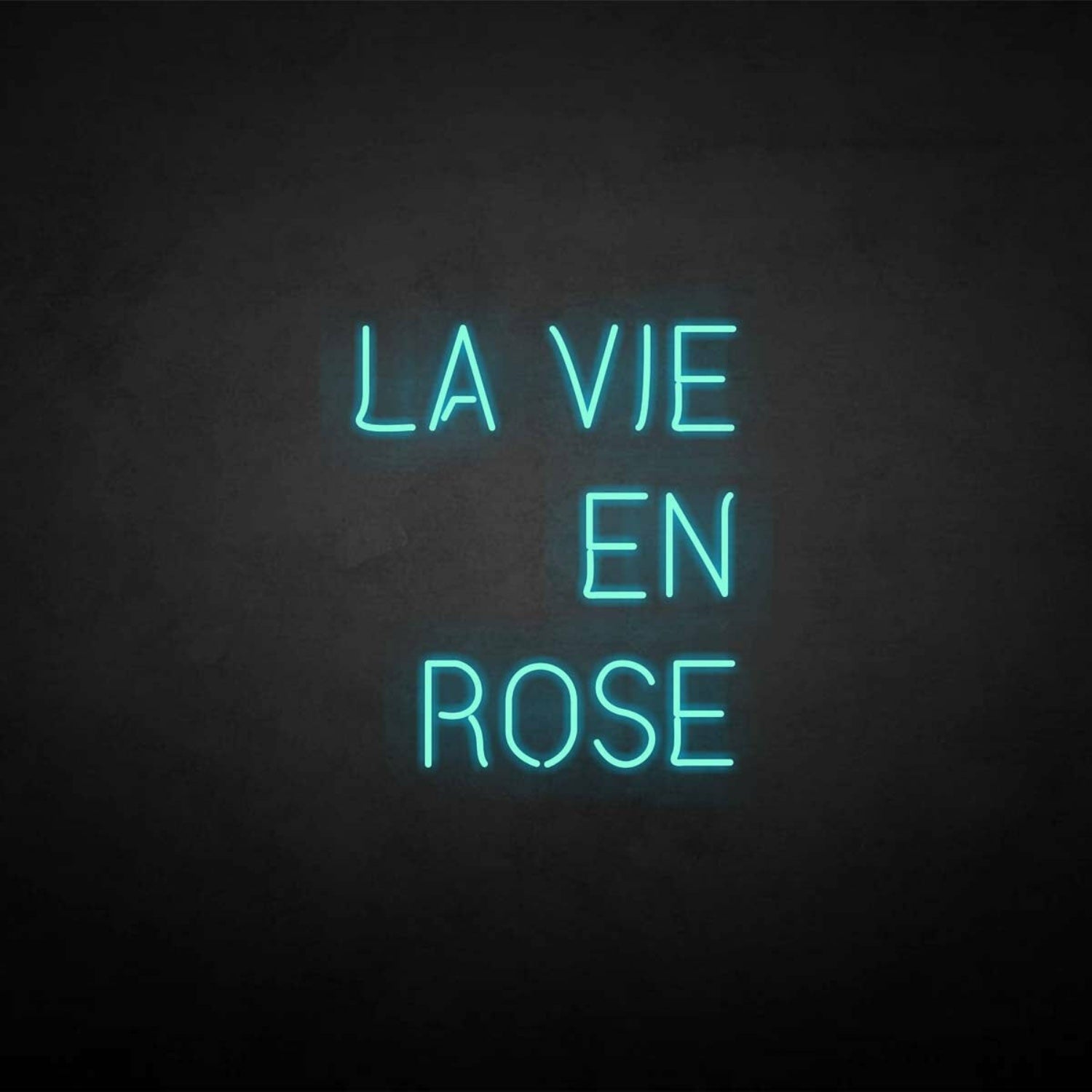 La Vie En Rose Neon Sign | Shineneon
