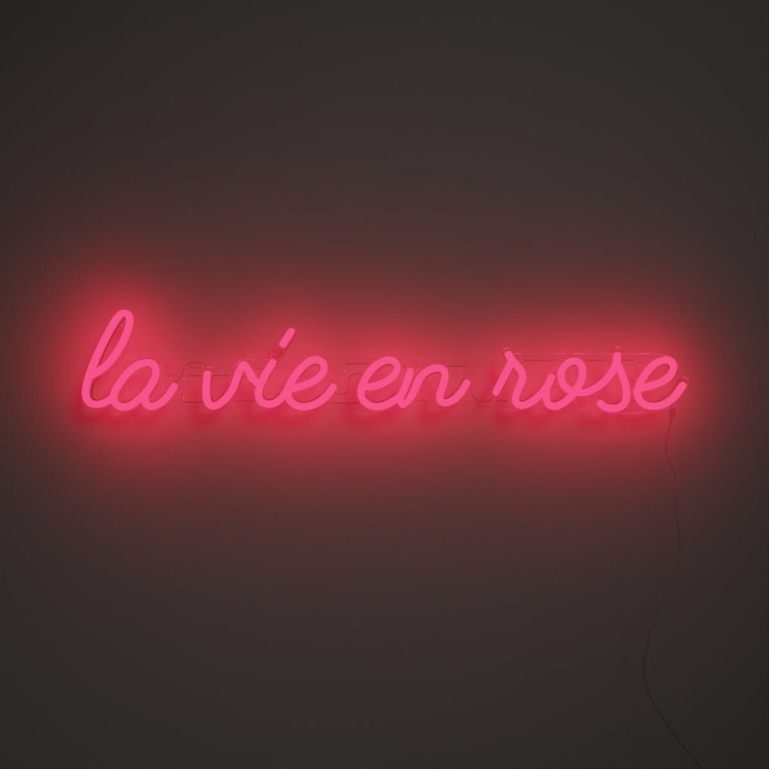 La Vie En Rose V1 Neon Sign For Romantic And Stylish Spaces | Shineneon