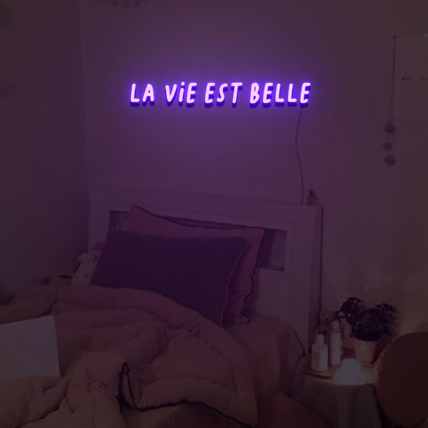 La Vie Est Belle Neon Sign For Home Party | Shineneon