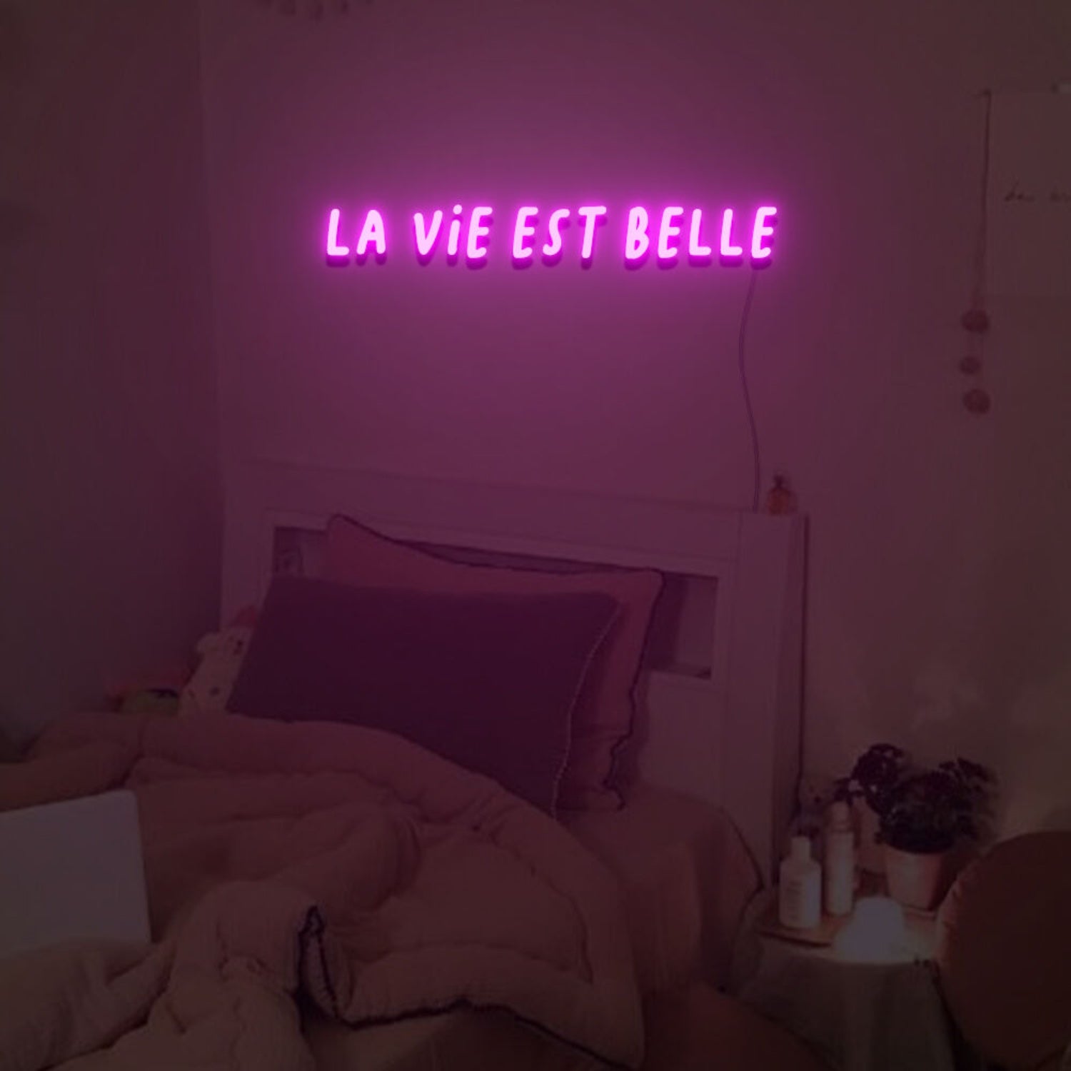 La Vie Est Belle Neon Sign For Home Party | Shineneon