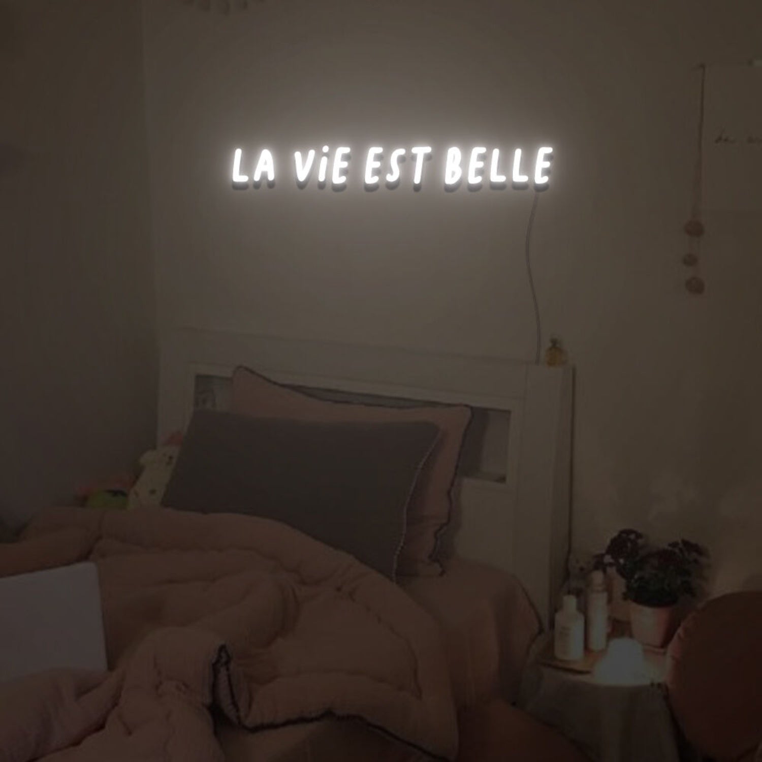 La Vie Est Belle Neon Sign For Home Party | Shineneon