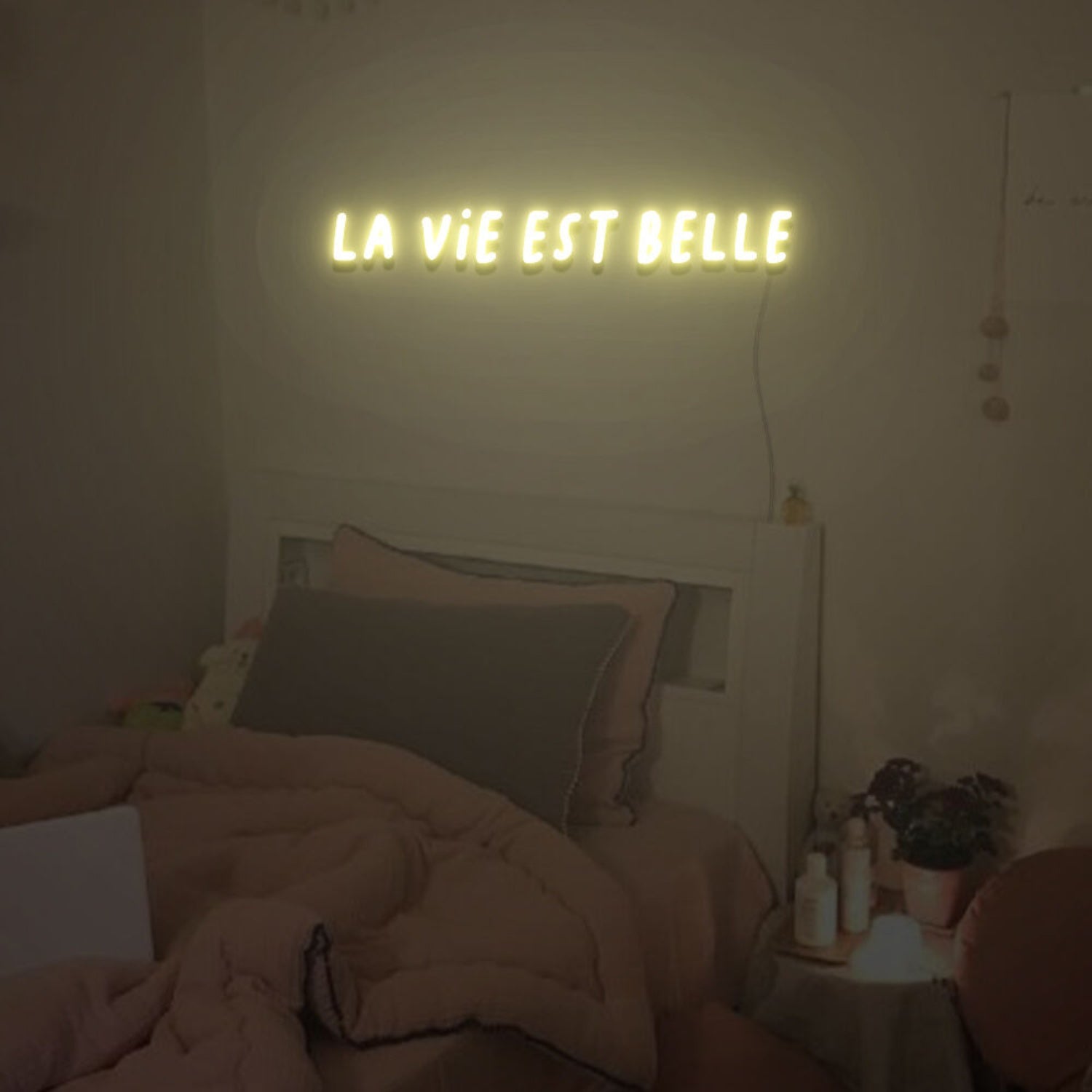 La Vie Est Belle Neon Sign For Home Party | Shineneon