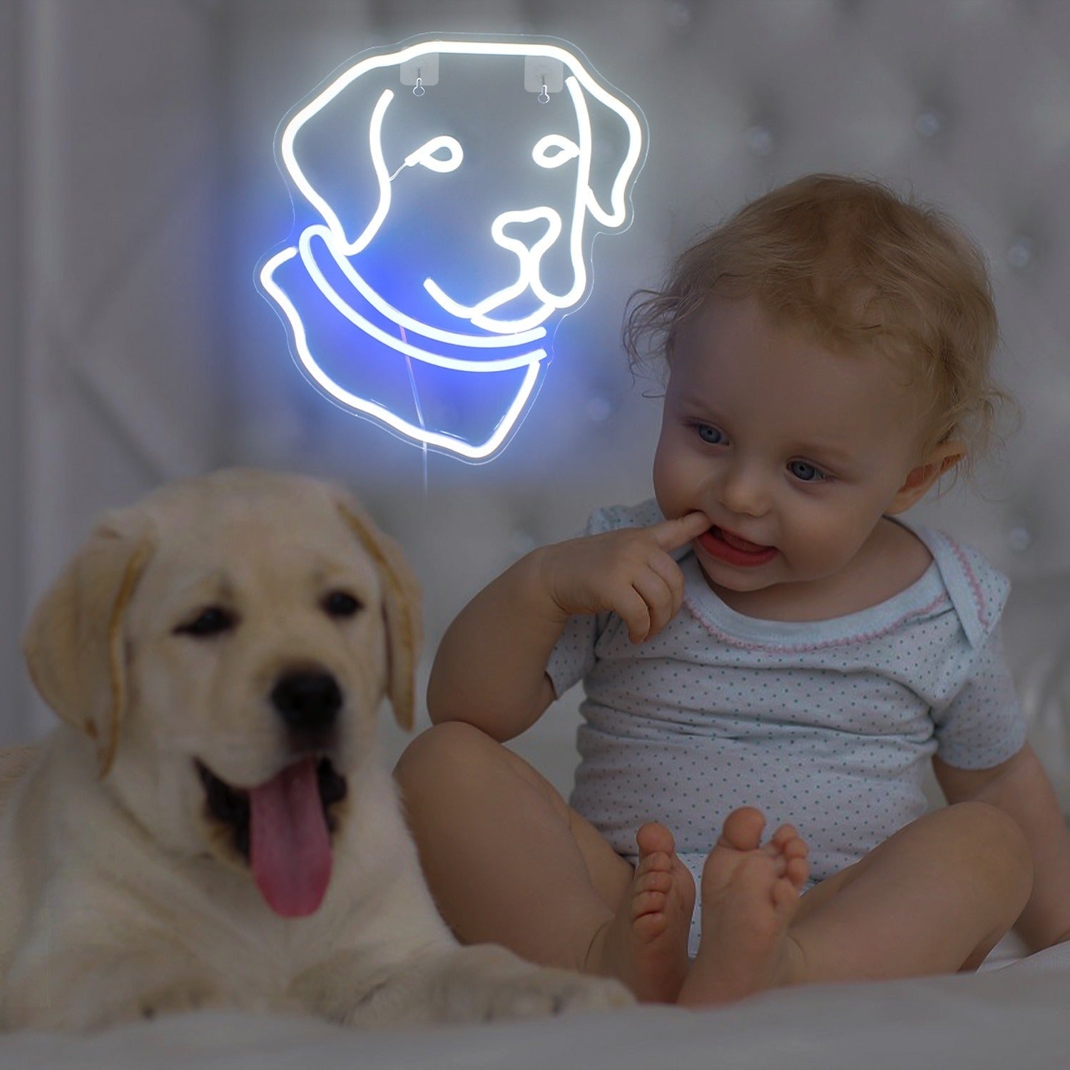 Labrador Dog Led Neon Sign For Pets House | Shineneon
