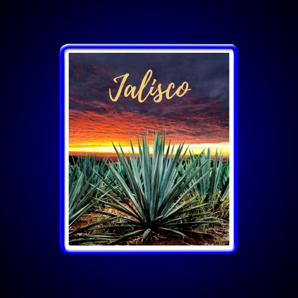 Landscape Mexico Tequila Beer Bar Decor Led Neon Sign Rgb Color - LED neon sign view 5