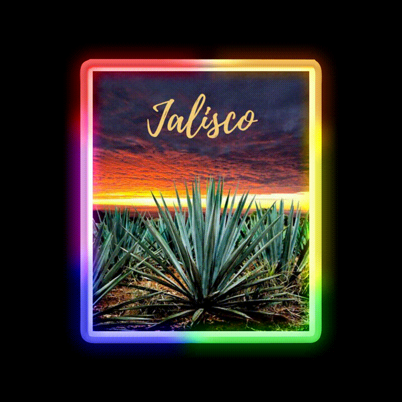 Landscape Mexico Tequila Beer Bar Decor Led Neon Sign Rgb Color - LED neon sign close-up detail
