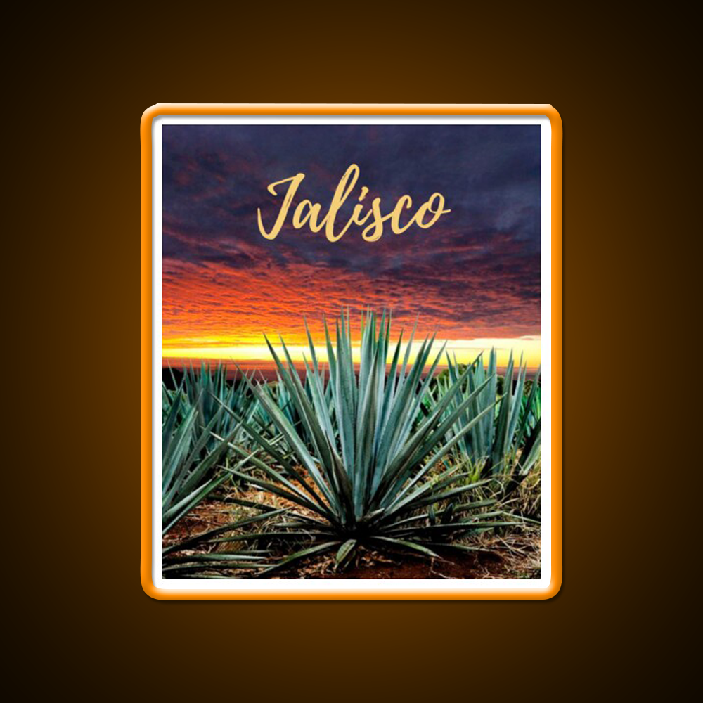 Landscape Mexico Tequila Beer Bar Decor Led Neon Sign Rgb Color - LED neon sign view 6