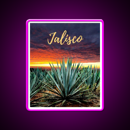 Landscape Mexico Tequila Beer Bar Decor Led Neon Sign Rgb Color - Neon sign mounted on wall in room